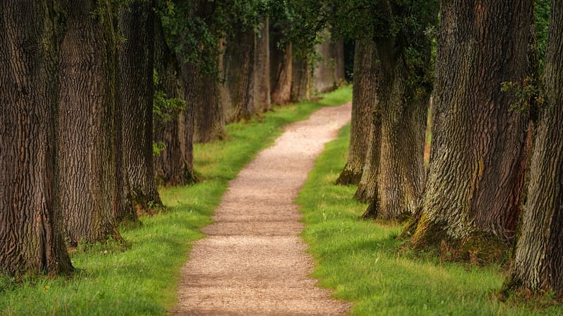 Hidden Trail